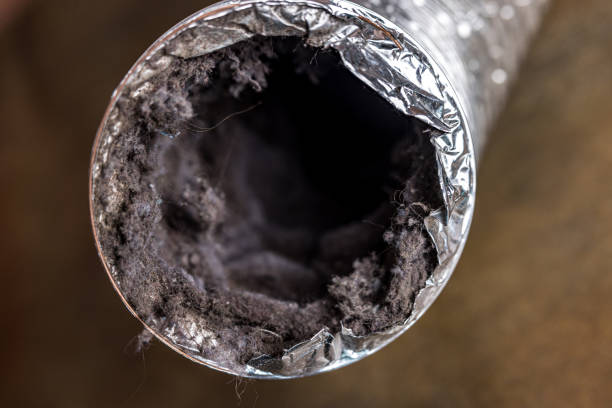 Best Ductwork Cleaning Services  in Kentfield, CA